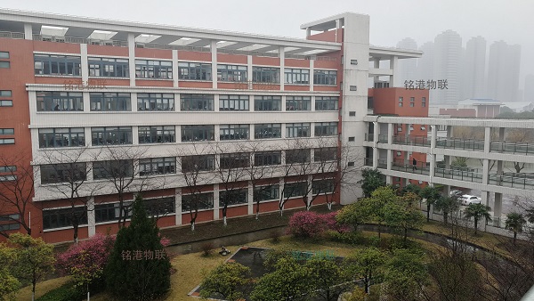 奉贤中学项目